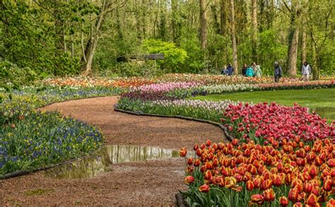 Floralia Excursion - beautiful flowers - Shearwater