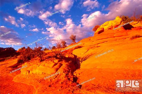 Dinosaur National Monument, Utah, USA, Stock Photo, Picture And Royalty ...