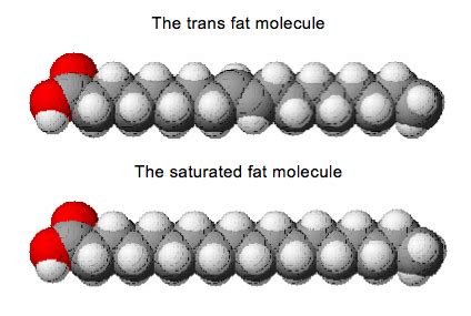 The Science of Health and Happiness: Trans Fats