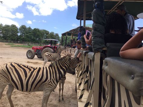 Africa Safari Adventure Park Day - Tour Guanacaste, bringing Costa Rica ...