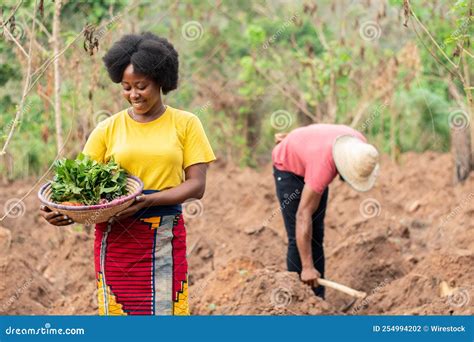 African Farmer Carrying a Basket of Vegetables Stock Photo - Image of ...