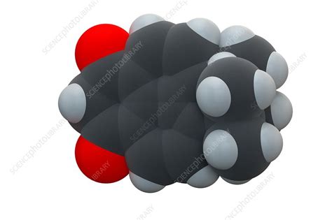 Avobenzone sunscreen molecule - Stock Image - F017/9555 - Science Photo Library