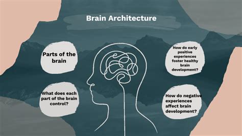 Brain Architecture by Liz Wilson