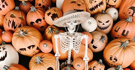 Best Halloween-Aesthetic Pictures For iOS 14 Home Screen | POPSUGAR Tech