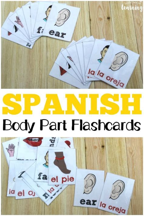 Spanish Parts of the Body Flashcards | Spanish flashcards, Spanish teaching resources, Spanish ...