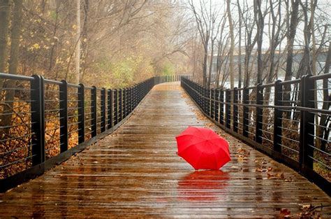 Walking Rain Wallpapers - Top Free Walking Rain Backgrounds - WallpaperAccess