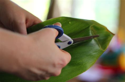 Sail by the stars: Making a ti leaf lei