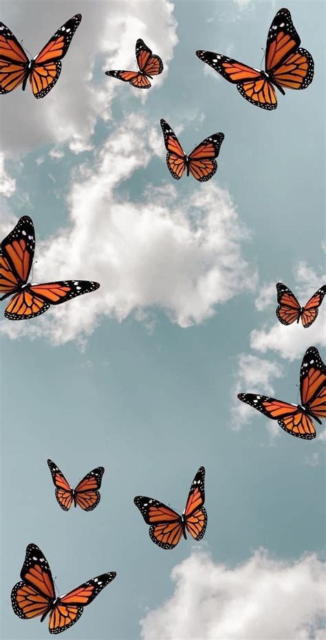 Fondo De Pantalla Mariposas | fondo de pantalla de cobra