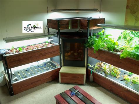 Indoor aquaponic systems | Plans diy #aquaponicplants | Aquaponics ...