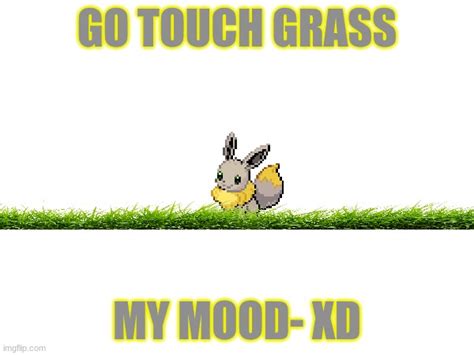 go touch grass - Imgflip