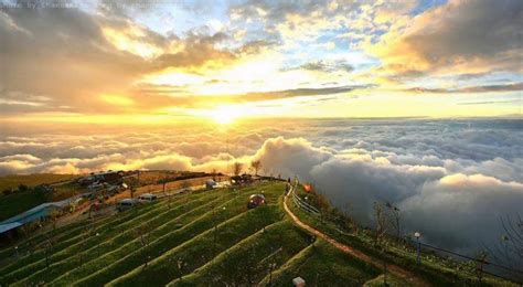 Phu Thap Boek, Phetchabun, Thailand | High Life - MAG THE WEEKLY