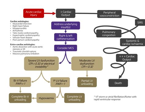 Cardiogenic shock: evolving definitions and future directions in ...