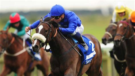 15 Godolphin horses known to have been given steroids banned for six months | Racing News | Sky ...