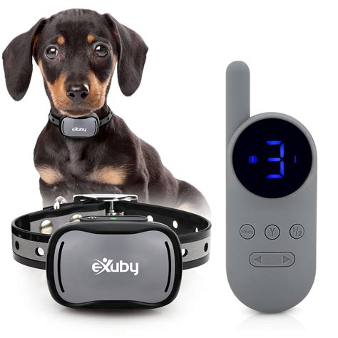 Exuby Tiny Shock Collar for Small Dogs, 5-15lbs, 9 Intensity Levels - Walmart.com