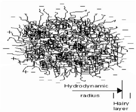 Hairy casein micelle model proposed by Holt, where a tangled web and ...