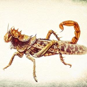 The Locust | Revelation bible study, Revelation bible, Book of revelation