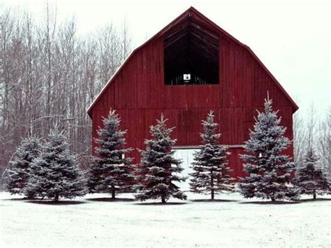 winter beauty | Barn photos, Barn pictures, Old barns