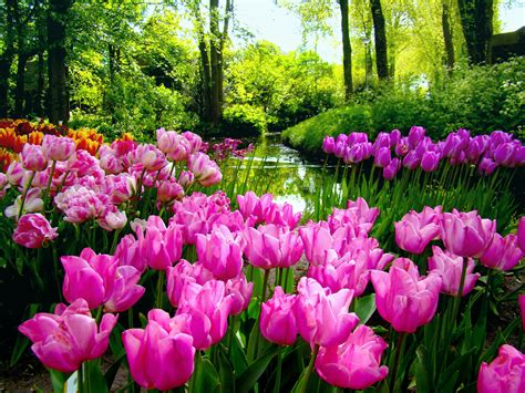 🔥 [70+] Spring Garden Wallpapers | WallpaperSafari