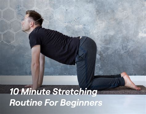 10 Minute Stretching Routine For Beginners – Fitbod