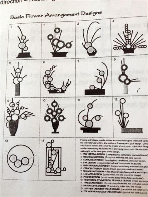 Flower Arrangement Diagrams Disk Parts Of A Flower: An Illus