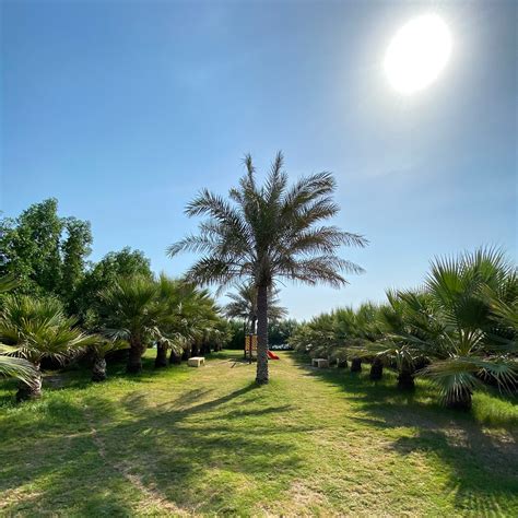 THE BEST Things to Do in Ras Tanura (2024) - Must-See Attractions