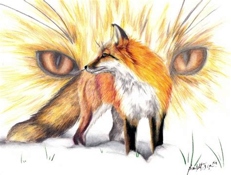 Red Fox Pencil Drawings