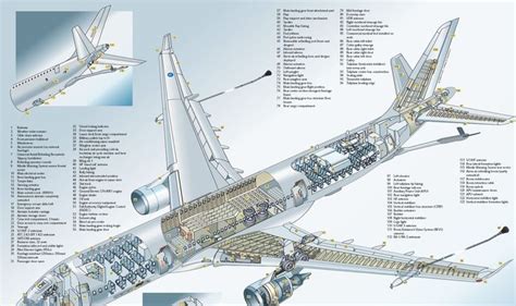 an airplane is shown in this diagram with all the parts labeled on it's side