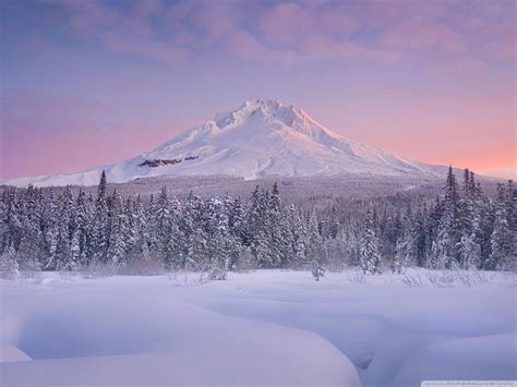 Mount Rainier Winter Wallpapers - Top Free Mount Rainier Winter Backgrounds - WallpaperAccess