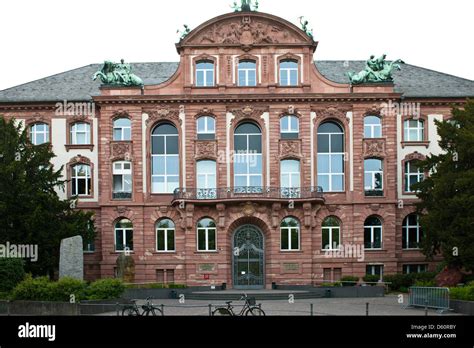 Senckenberg Museum, Frankfurt, Germany Stock Photo - Alamy