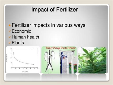 Basics of fertilizer and its impact on the