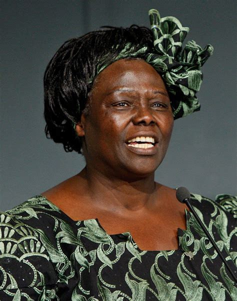 Wangari Maathai | Biography, Nobel Peace Prize, Books, Green Belt Movement, & Facts | Britannica