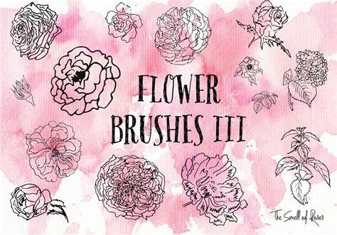 Flower Brushes 3 - Photoshop brushes