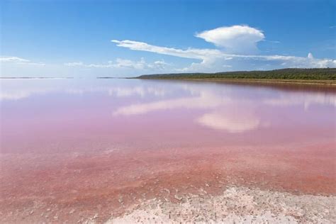 Pink Lake, Goldfields-Esperance, Western Australia - See More at TripBucket.com! | Natural ...