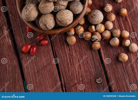 Walnuts and hazelnuts stock photo. Image of dark, natural - 35099548