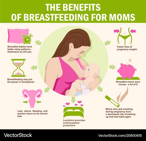 Benefits breastfeeding for moms maternity Vector Image