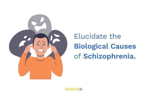 Biological Causes of Schizophrenia. - STUDYMAT