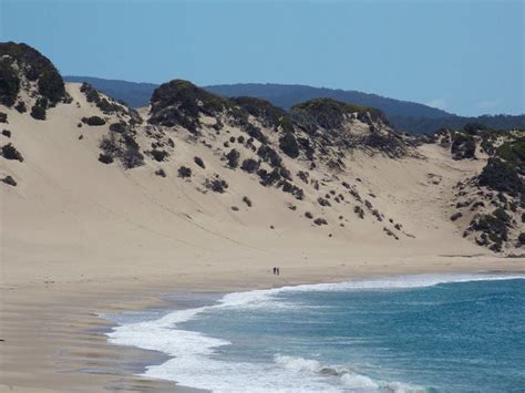 15 Best Beaches in Tasmania for a Relaxing Road Trip