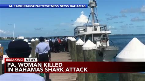 Woman killed in Bahamas by shark: Harmony of the Seas Royal Caribbean guest dies in bull shark ...