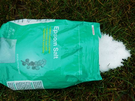 Epsom Salt Lawn Fertilizer - What Does Epsom Salt Do For Grass | Gardening Know How