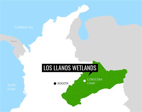 Los Llanos | Corocora Wildlife Camp