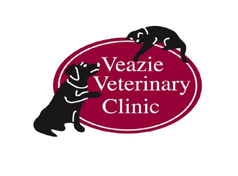 Veazie Veterinary Clinic - Ear mites under the microscope | Facebook
