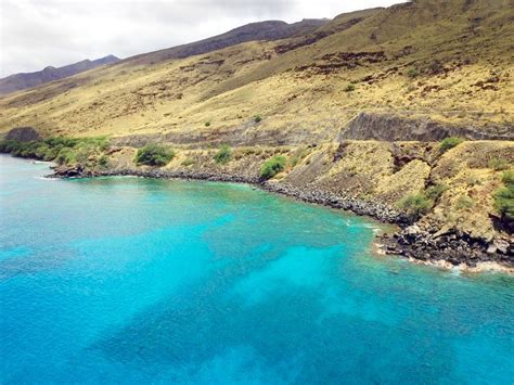 Snorkel Coral Gardens - Best Snorkeling in Maui - Four Winds II