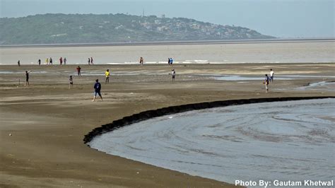 Vasai beach - Treebo Blog