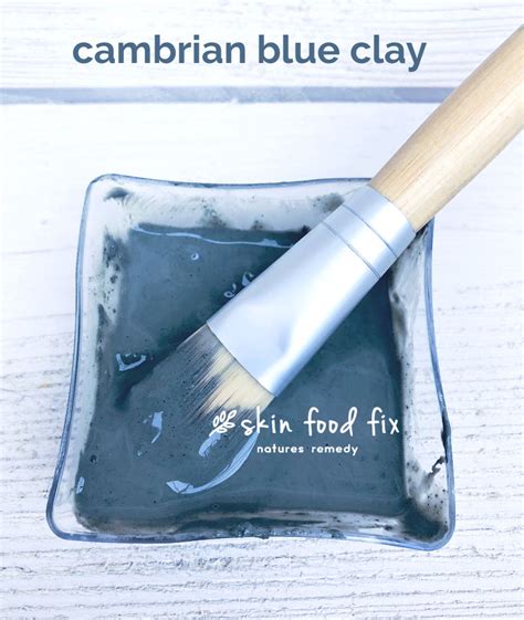 Cambrian Blue Clay Mask | Anti-Aging, Acne, Clears Out Pores – SkinFoodFix