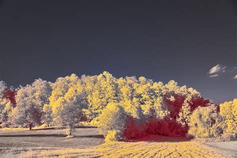 Infrared Landscape Pictures | Download Free Images on Unsplash