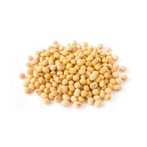 Soybean Gmo Grade 2 » simm global