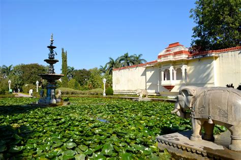 Saheliyon-ki-Bari Lotus Pond | World-Adventurer