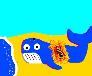 Exploding whale - Drawception