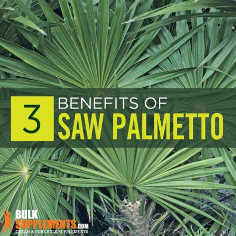 Saw Palmetto: Benefits, Side Effects & Dosage