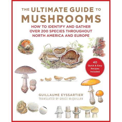 Outdoor Related Titles :: Field Guides :: Mushroom Identification ...